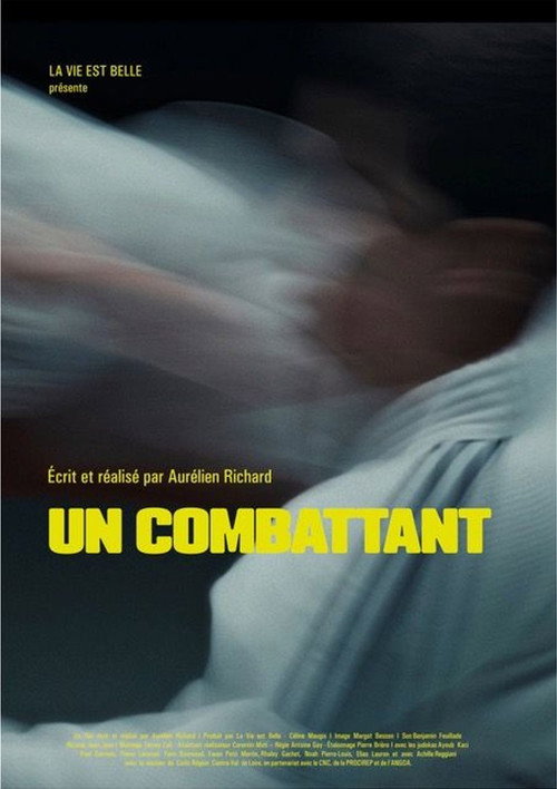 Movie poster for A fighter (2026)