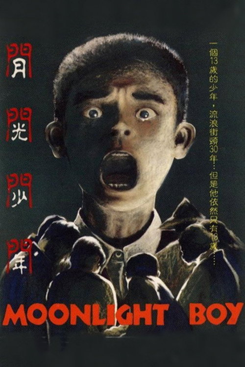 Movie poster for Moonlight Boy (1993)