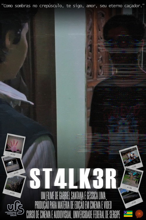 Movie poster for ST4LK3R (2024)