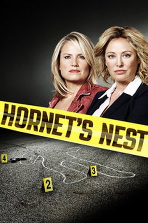 Movie poster for Hornet's Nest (2012)