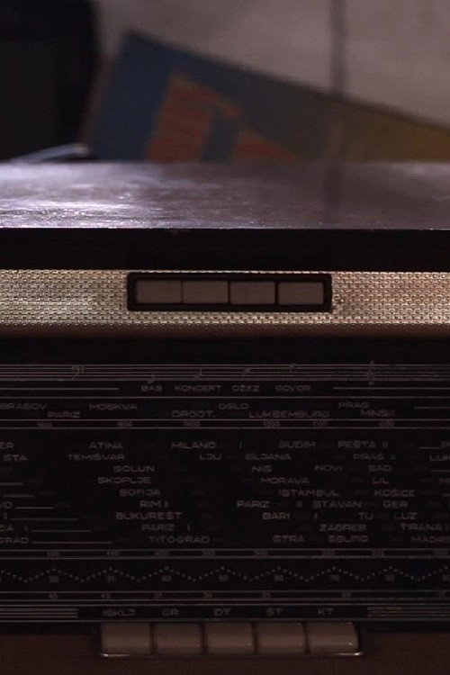 Movie poster for Radio (2013)