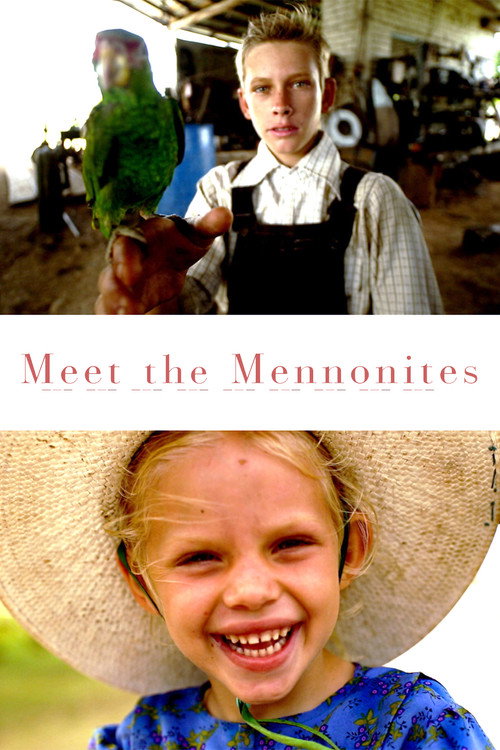 Movie poster for Meet the Mennonites (2020)