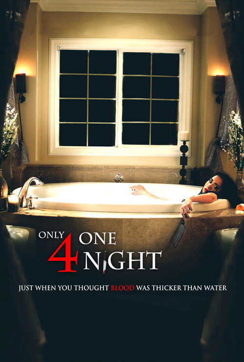 Movie poster for Only for One Night (2016)