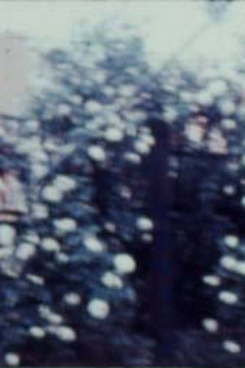 Movie poster for To the Dairy (1977)