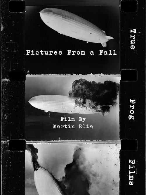Movie poster for Pictures From a Fall (2024)