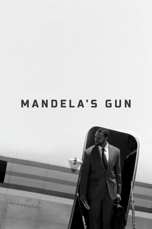 Movie poster for Mandela's Gun (2016)