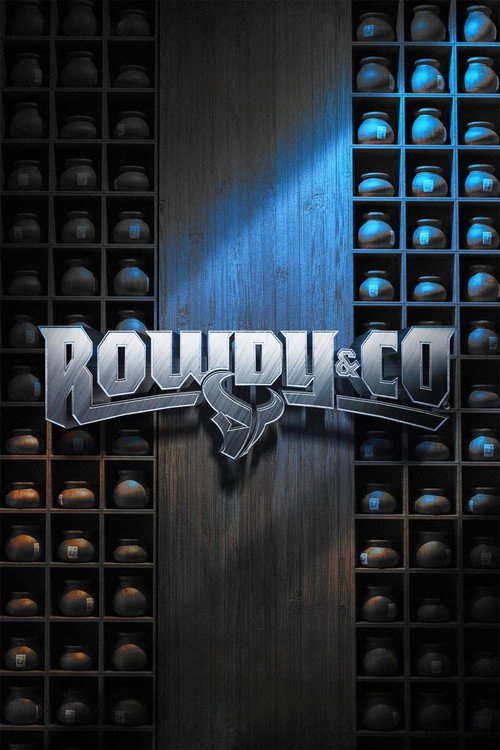 Movie poster for Rowdy & Co