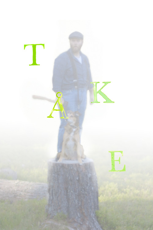 Movie poster for TÅKE (2025)