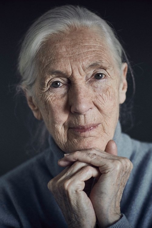 Jane Goodall profile