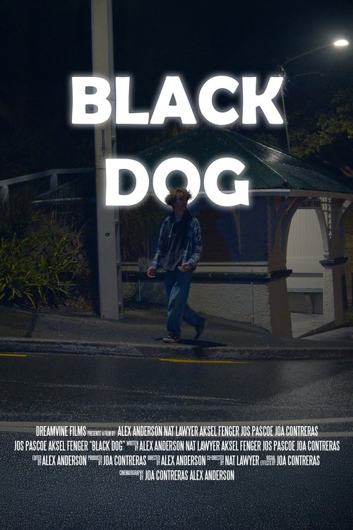Movie poster for Black Dog (2024)