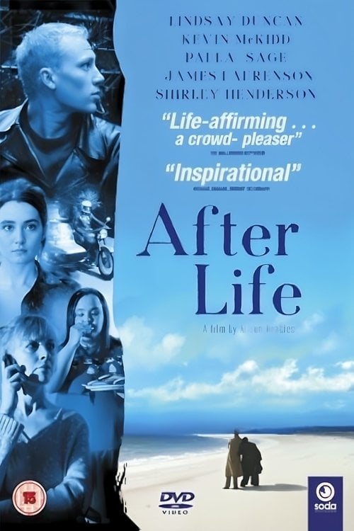 Movie poster for AfterLife (2003)