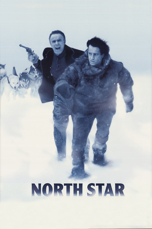 Movie poster for North Star (1996)