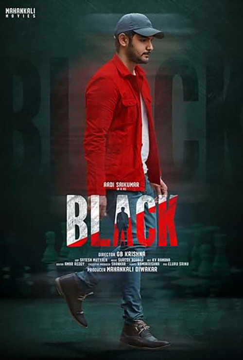 Movie poster for Black 2022 (2022)
