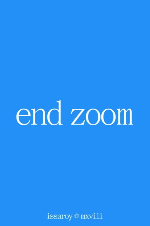 Movie poster for End Zoom (2020)