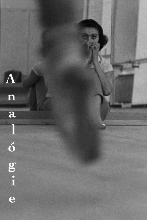 Movie poster for Analógie (1965)