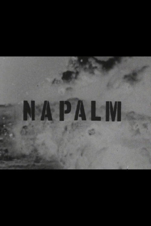 Movie poster for Napalm (1967)