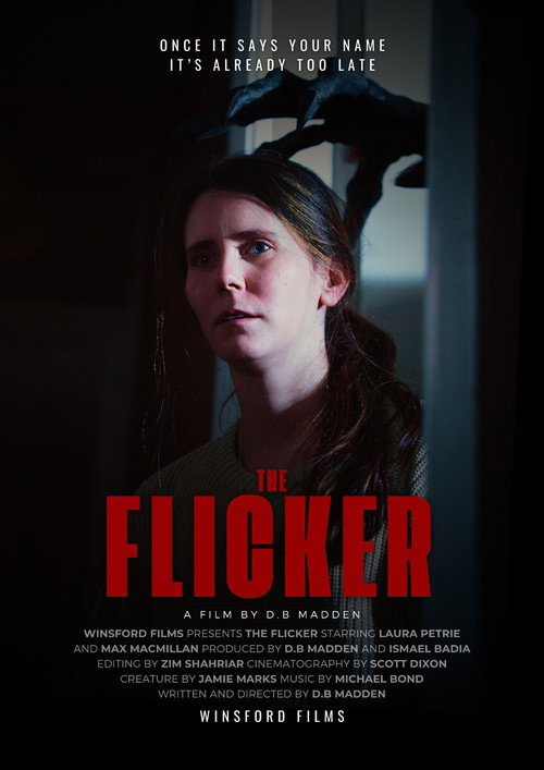 Movie poster for The Flicker