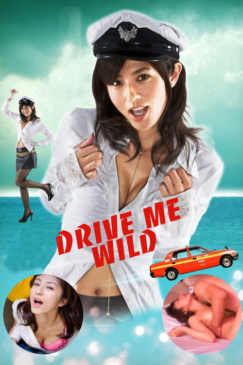 Movie poster for Any And Every Which Way (2010)