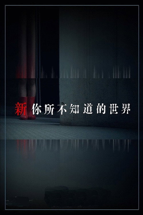 Movie poster for Another World You Don't Know About (2011)