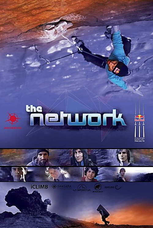 Movie poster for The Network (2013)
