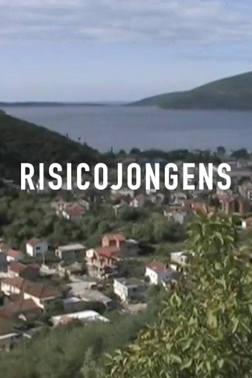 Series poster for De risicojongens (2011)