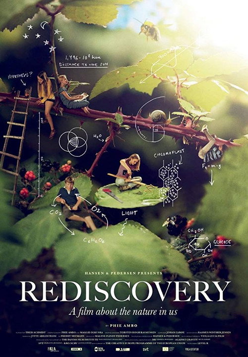 Movie poster for Rediscovery (2019)