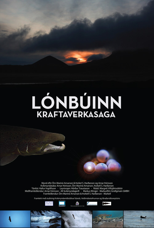 Movie poster for The North Atlantic Miracle (2012)