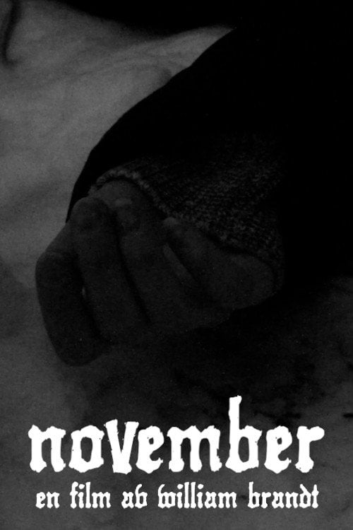 Movie poster for November (2021)