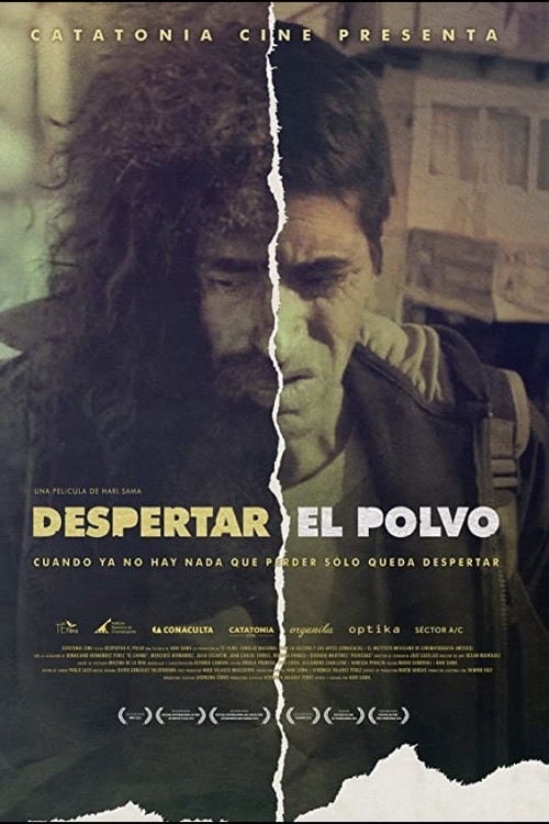 Movie poster for Awakening Dust (2013)