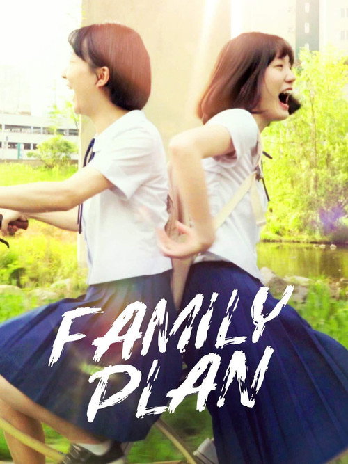 Movie poster for Family Plan (2016)