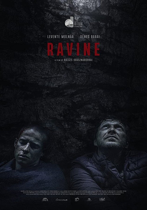 Movie poster for Ravine (2021)