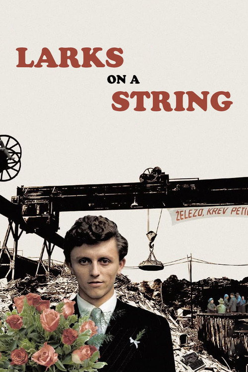 Movie poster for Larks on a String (1990)