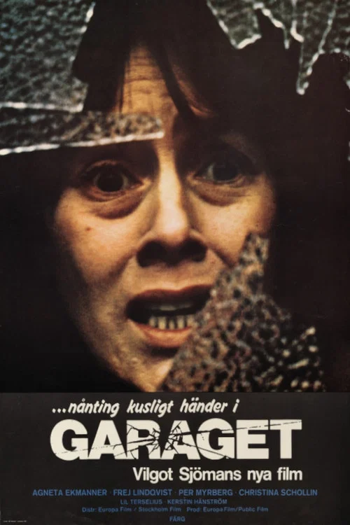 Movie poster for The Garage (1975)