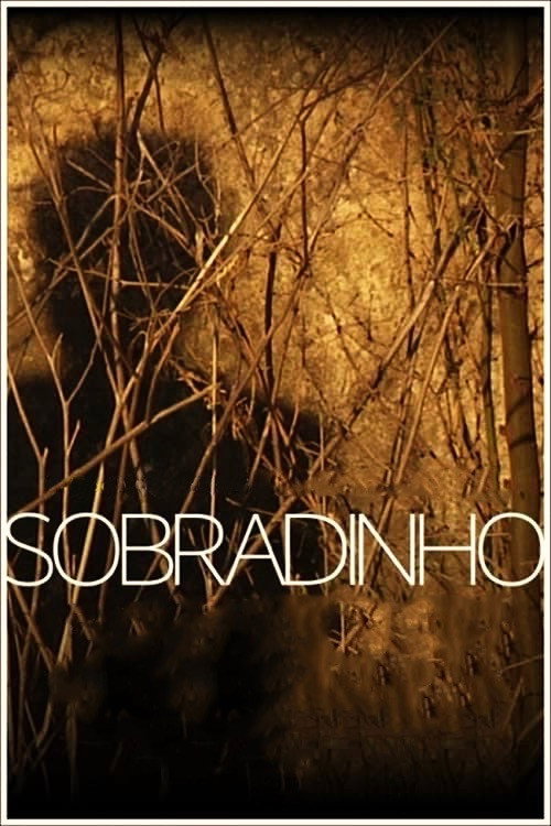 Movie poster for Sobradinho (2020)