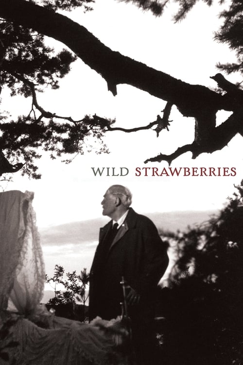 Movie poster for Wild Strawberries (1957)