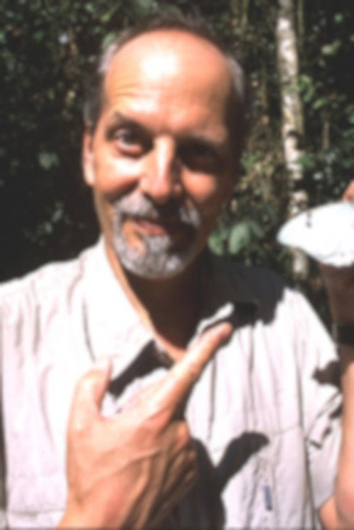 Photo of Dr. Phil DeVries, Acting