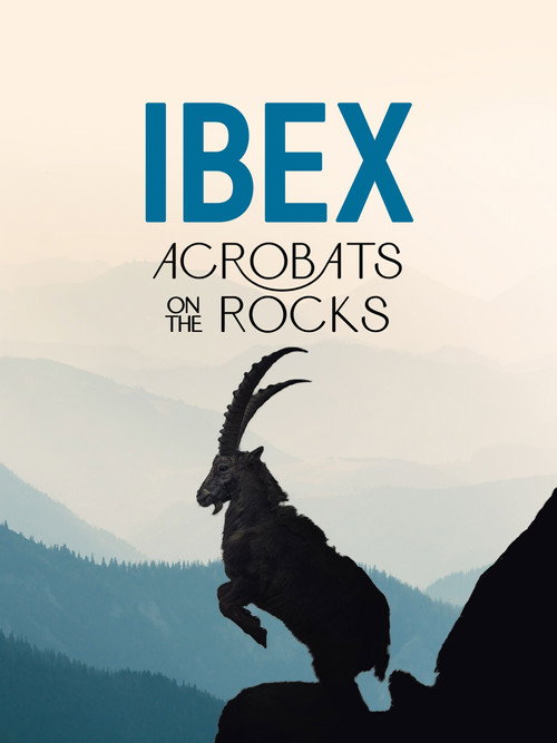 Movie poster for Ibex: Acrobats on the Rocks