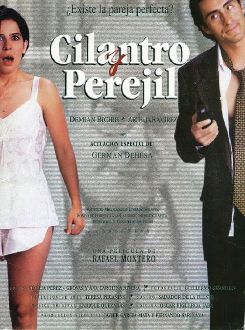 Movie poster for Recipes to Stay Together (1996)