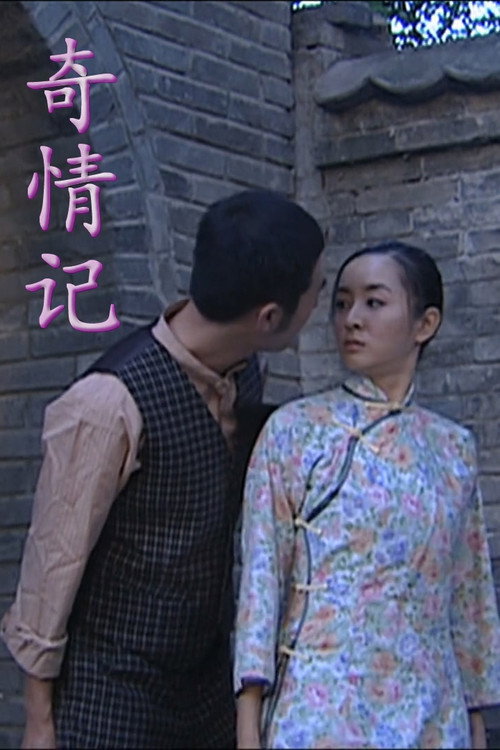 Movie poster for 奇情记 (2009)