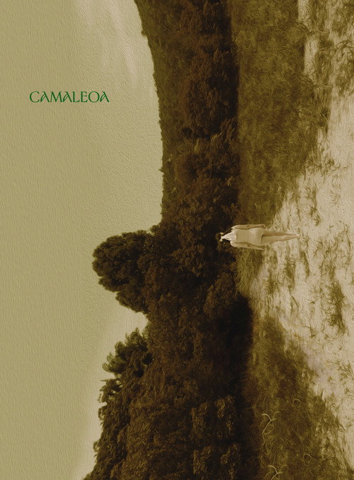 Movie poster for Camaleoa (2023)