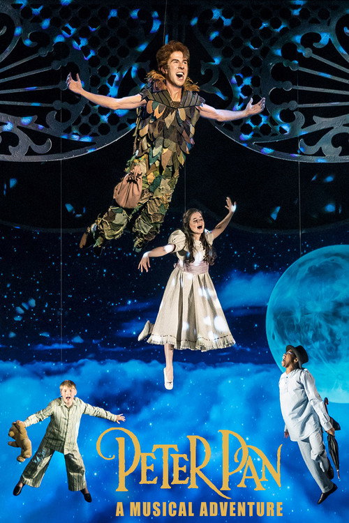 Movie poster for Peter Pan: A Musical Adventure (2020)