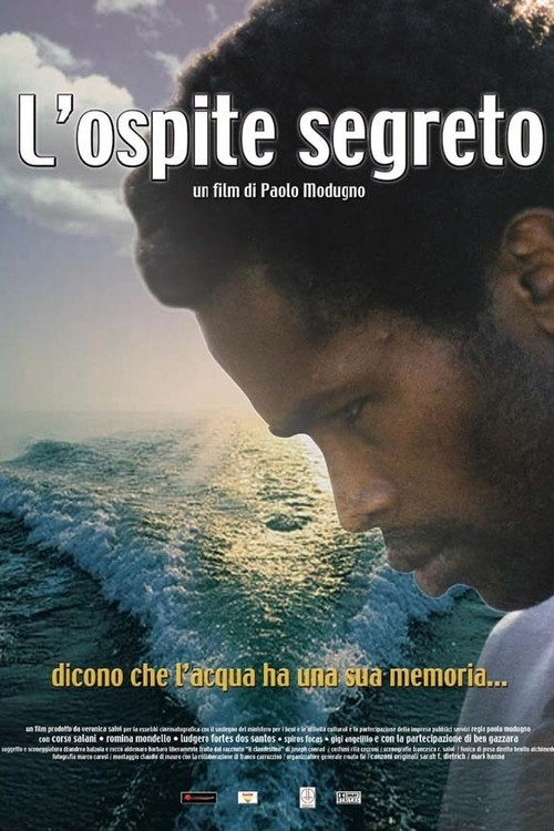 Movie poster for L'ospite segreto (2003)