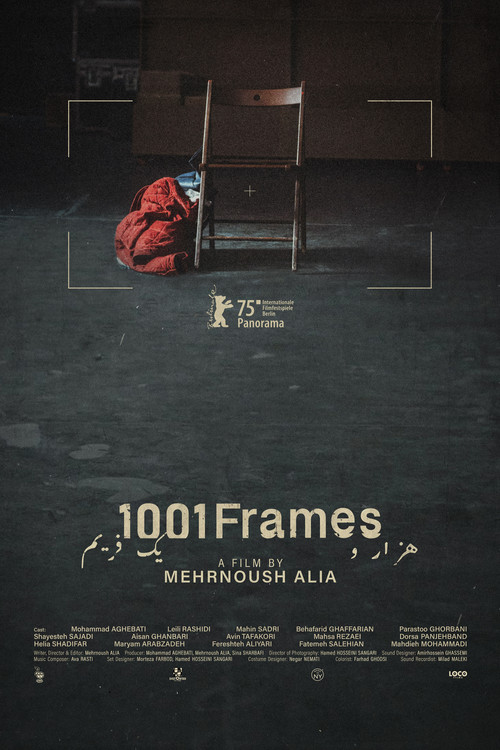 Movie poster for 1001 Frames (2025)