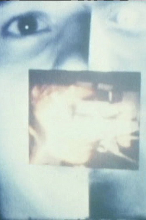 Movie poster for The Screen, Just the Screen (1978)