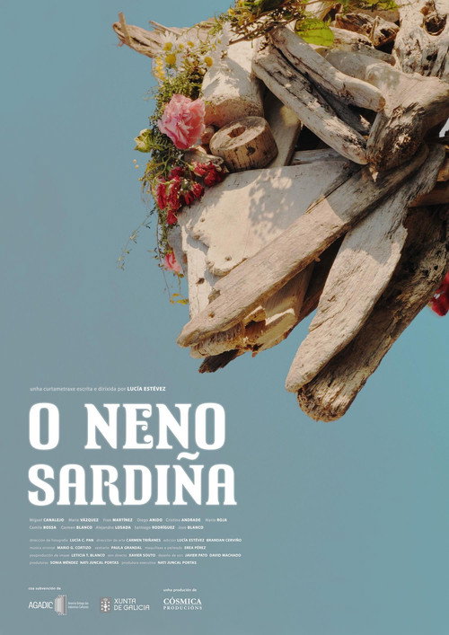 Movie poster for O neno sardiña
