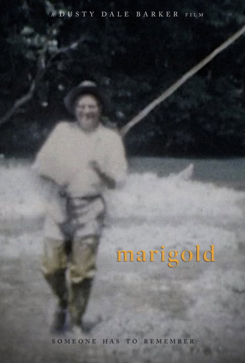 Movie poster for marigold