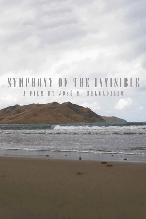 Movie poster for Symphony Of The Invisible (2020)