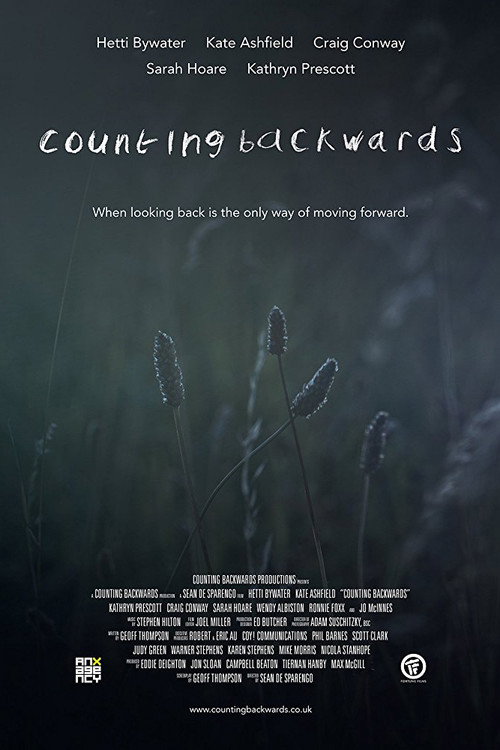Movie poster for Counting Backwards (2015)