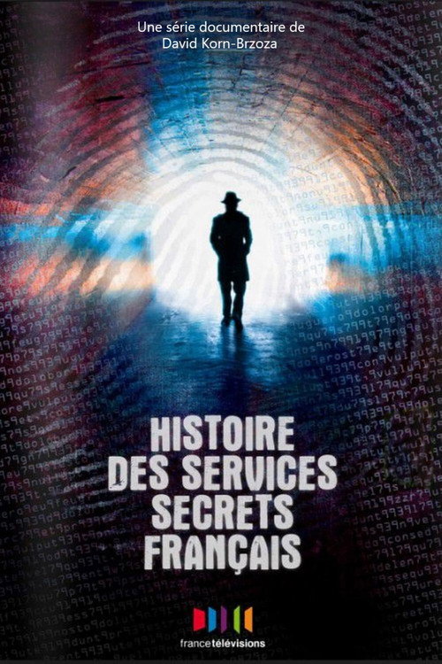 Series poster for Histoires des services secrets français (2011)