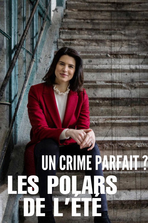 Series poster for Un crime parfait ? Les polars de l’été (2023)